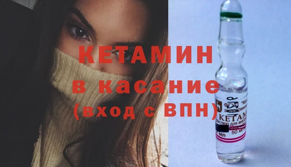 хмурый Осинники