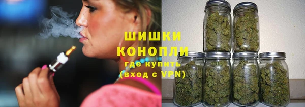 хмурый Осинники