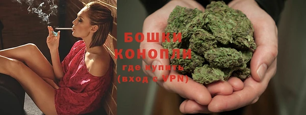 гидра Осташков