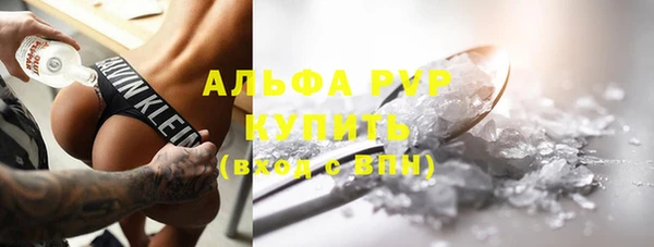 хмурый Осинники