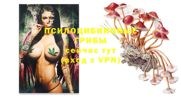 хмурый Осинники