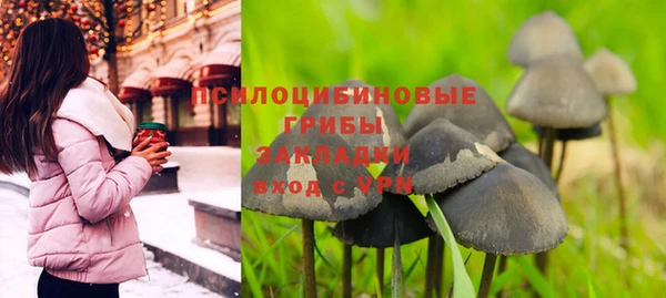 хмурый Осинники