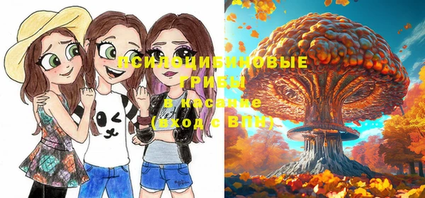 прущие крисы Козельск