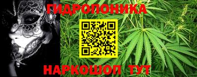 гашиш Берёзовский