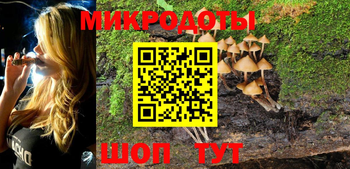 Псилоцибиновые грибы Psilocybe  Вход с VPN  Кропоткин 
