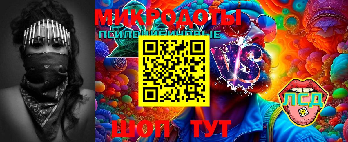 Галлюциногенные грибы прущие грибы  Кропоткин  Галлюциногенные грибы Psilocybine cubensis 