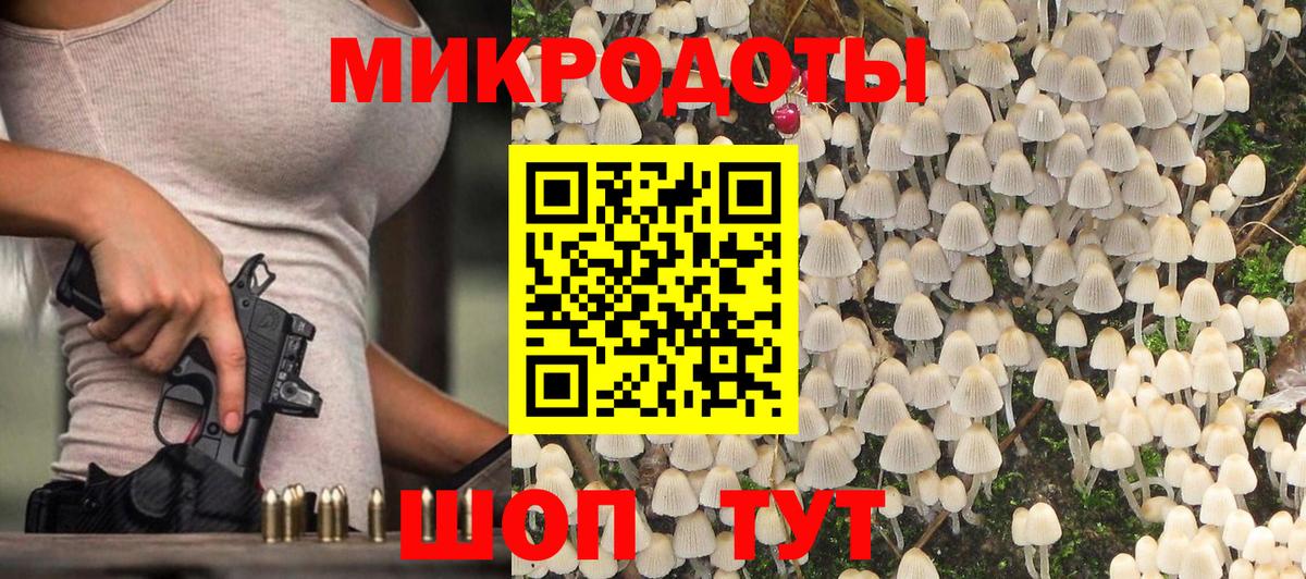 Псилоцибиновые грибы GOLDEN TEACHER Кропоткин